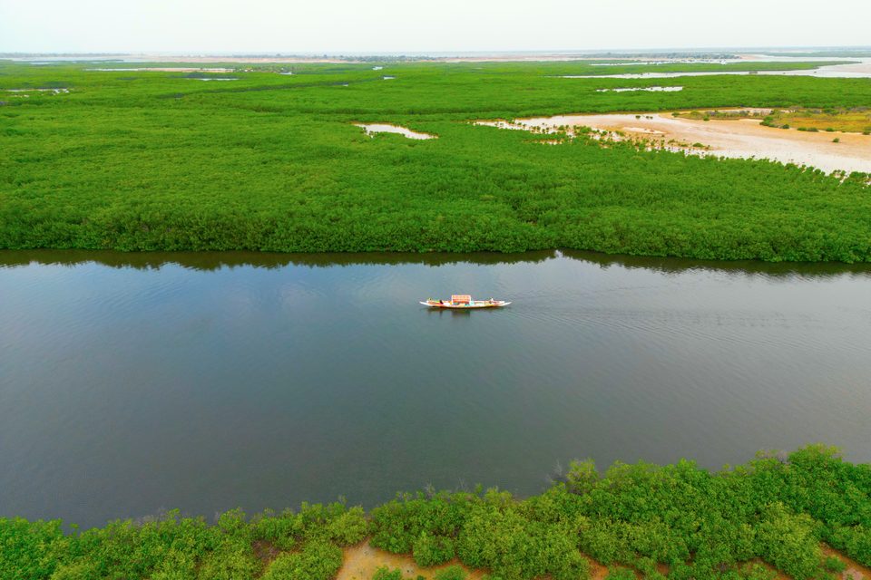A wide brown channel between walls of dense green mangrove seen from above, a single small boat crossing it