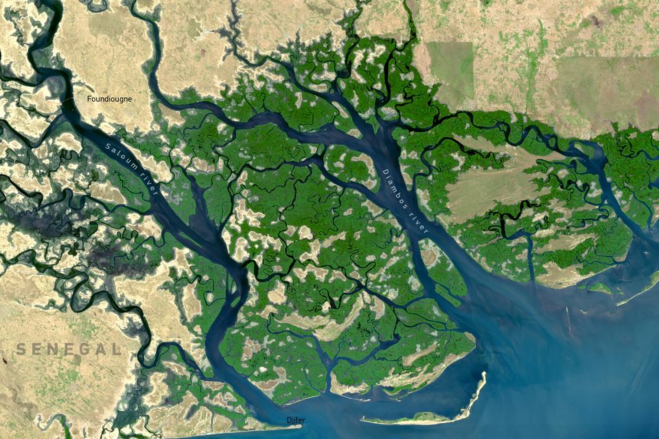 A satellite view of a delta coast: dark green mangrove islands threaded by blue channels, pale dry land inland and the Atlantic to the south-west