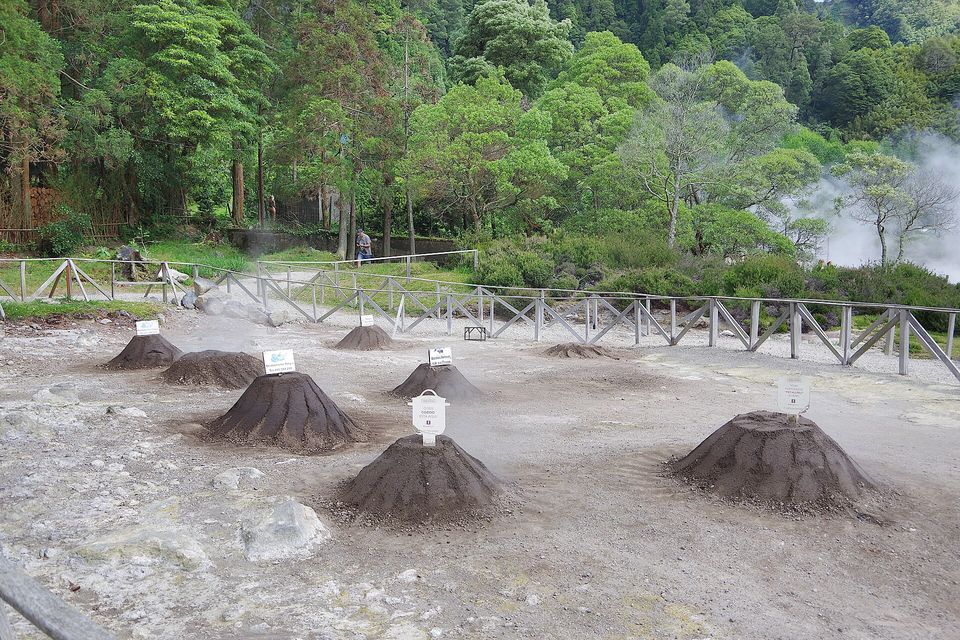 Earth mounds over cooking pits in steaming ground, steam drifting from fumaroles behind