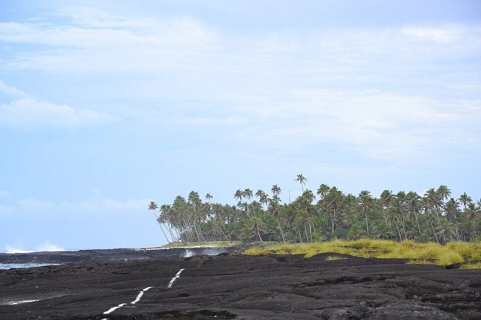 A flat shelf of black lava runs out to a dense grove of coconut palms under a pale sky