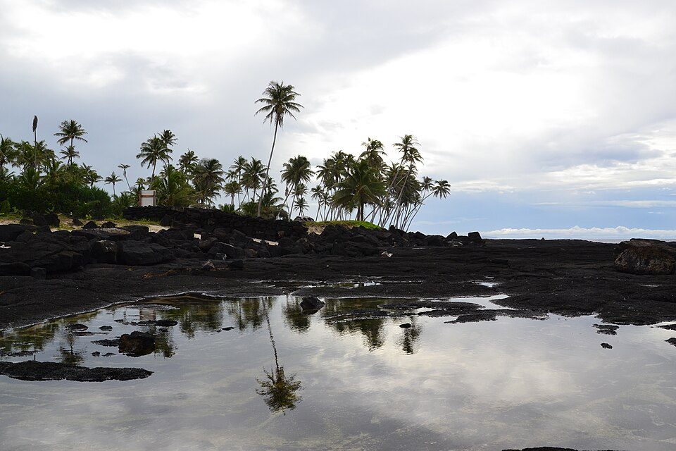 A still pool on black lava reflects palms and cloud, with a low lava-stone wall and palms behind
