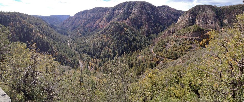 A forested canyon of red and grey cliffs winding into the distance, a switchback road on the right slope, early autumn yellow in front