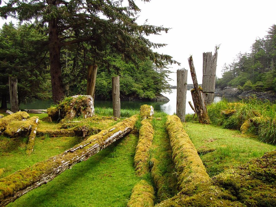 Long moss-covered logs lying in parallel on green grass, weathered posts and calm water behind