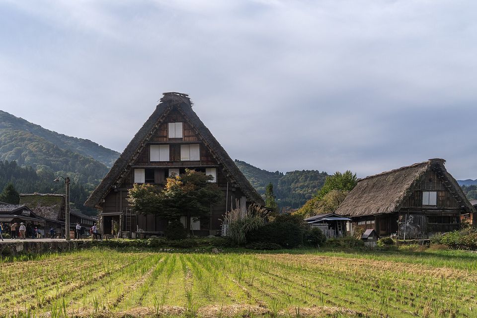 A tall thatched farmhouse with a steep A-shaped roof stands behind rows of rice stubble, a second thatched house at right and green wooded hills behind under a pale sky