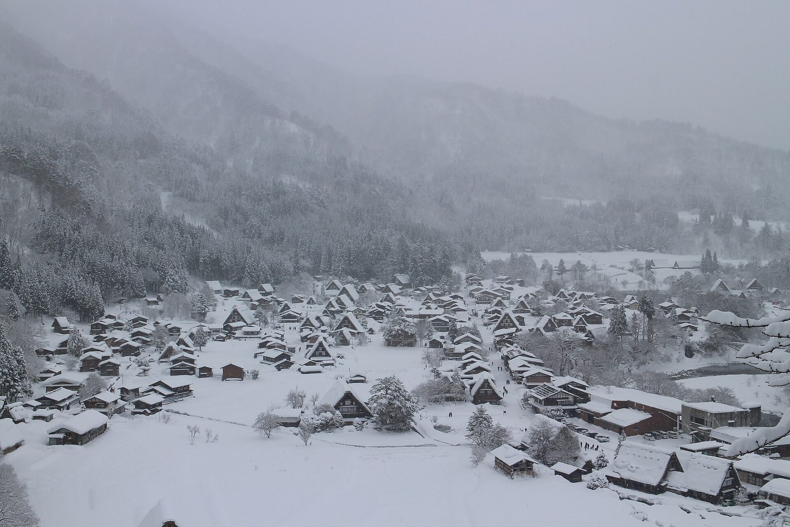 Dozens of steep thatched roofs heavy with snow are scattered across a white valley floor, the forested hillside lost in cloud behind