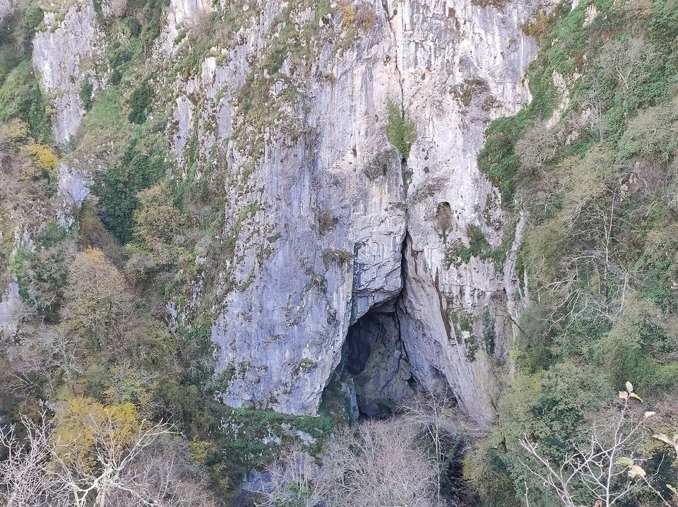 A deep collapse hollow with pale limestone walls and a dark cave mouth at its base