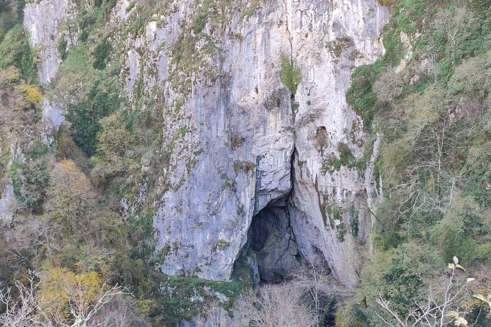 A deep collapse hollow in pale limestone karst, its walls hung with scrub, the dark arched mouth of a cave opening at the base of the cliff