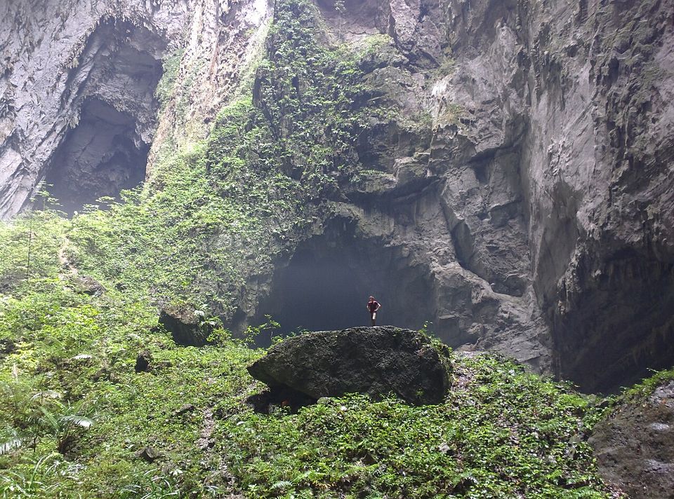 Ferns and trees covering a cave floor below sheer grey walls, a small figure on a mossy boulder