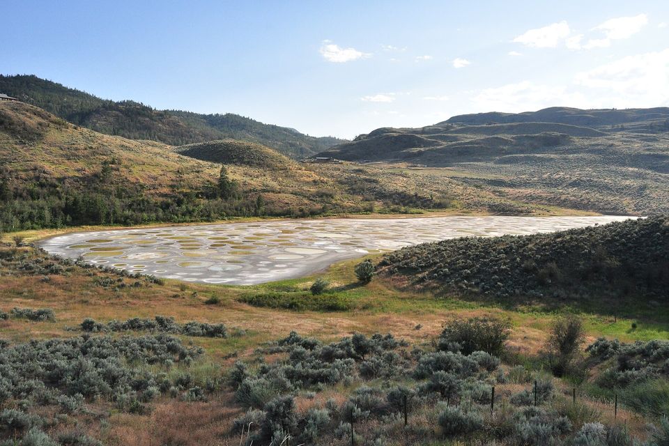 A lake of grey-green spots under a soft evening light, fence posts in the foreground sage and a long shadowed slope at right