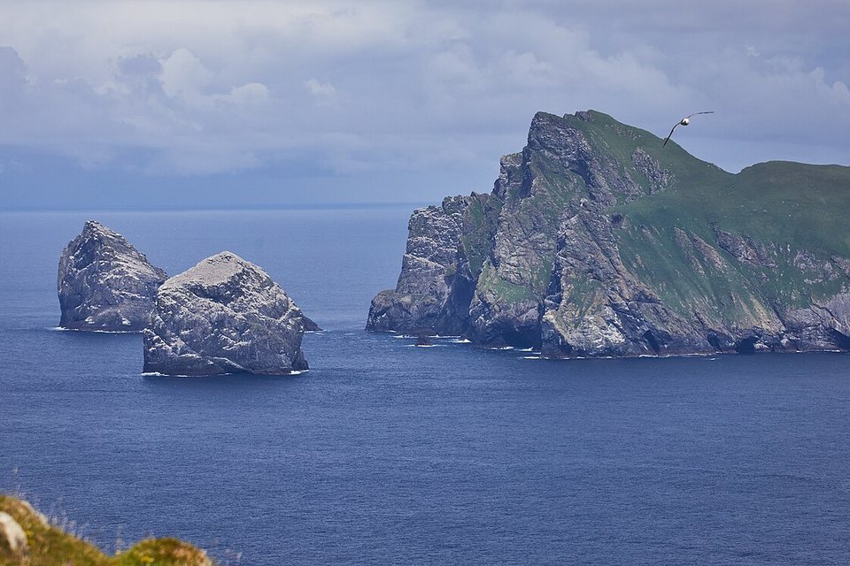 Sea stacks white with gannets rising from grey-blue sea under cloud