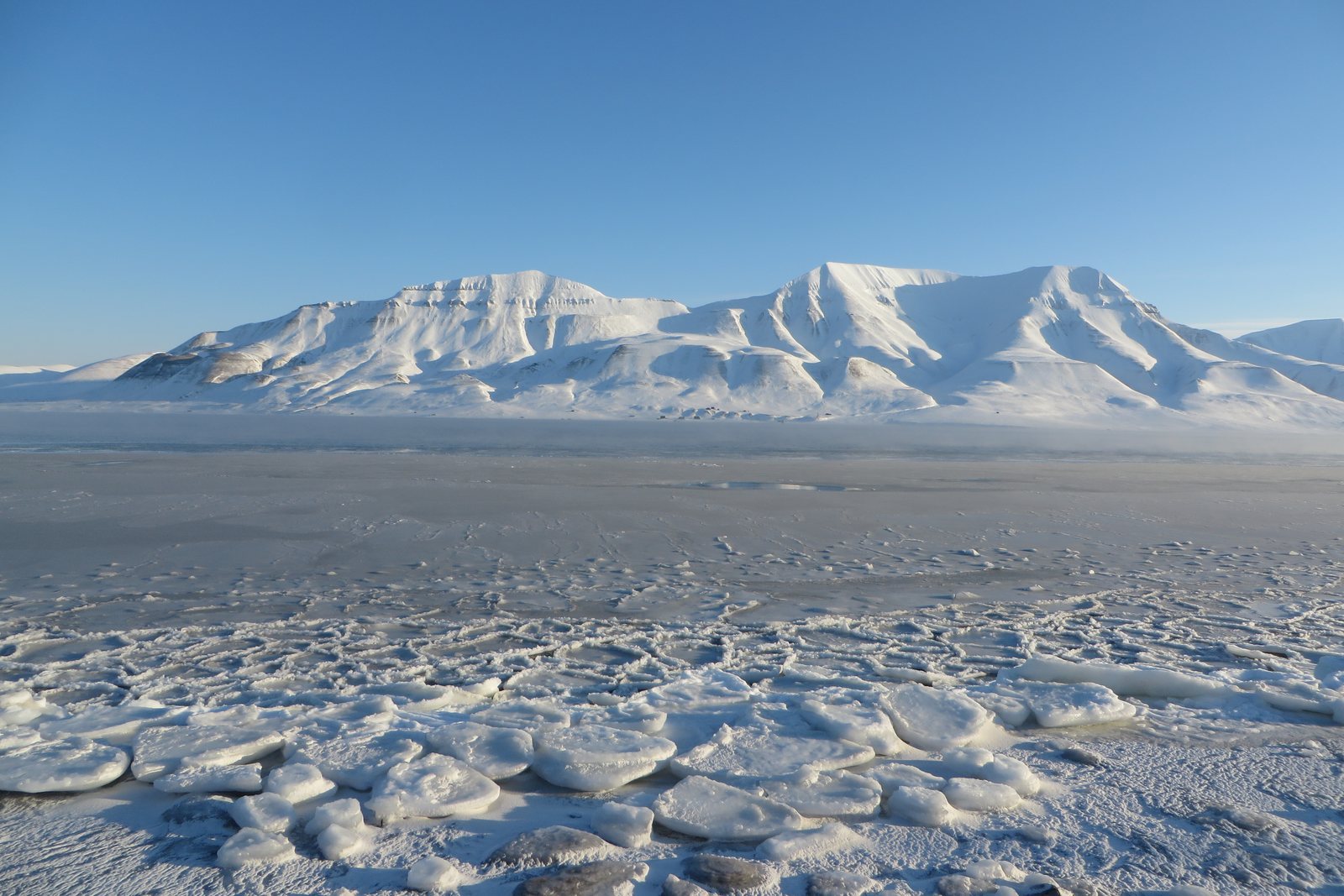 A flat-topped snow-covered mountain ridge across a fjord under deep blue sky, rounded plates of new sea ice covering the water in front