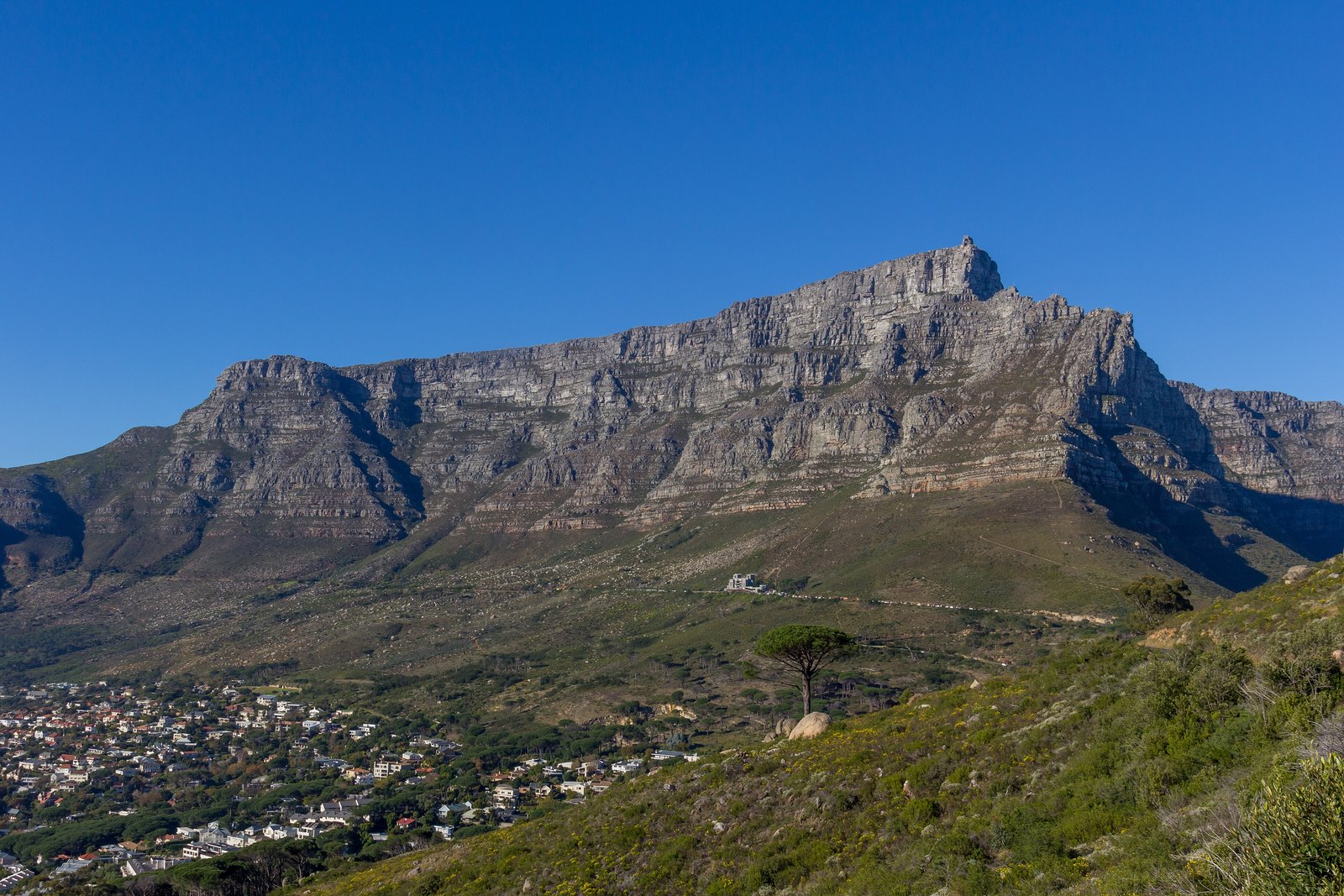 A long flat-topped mountain of pale cliffs rising over green slopes and the suburbs of Cape Town under a clear blue sky