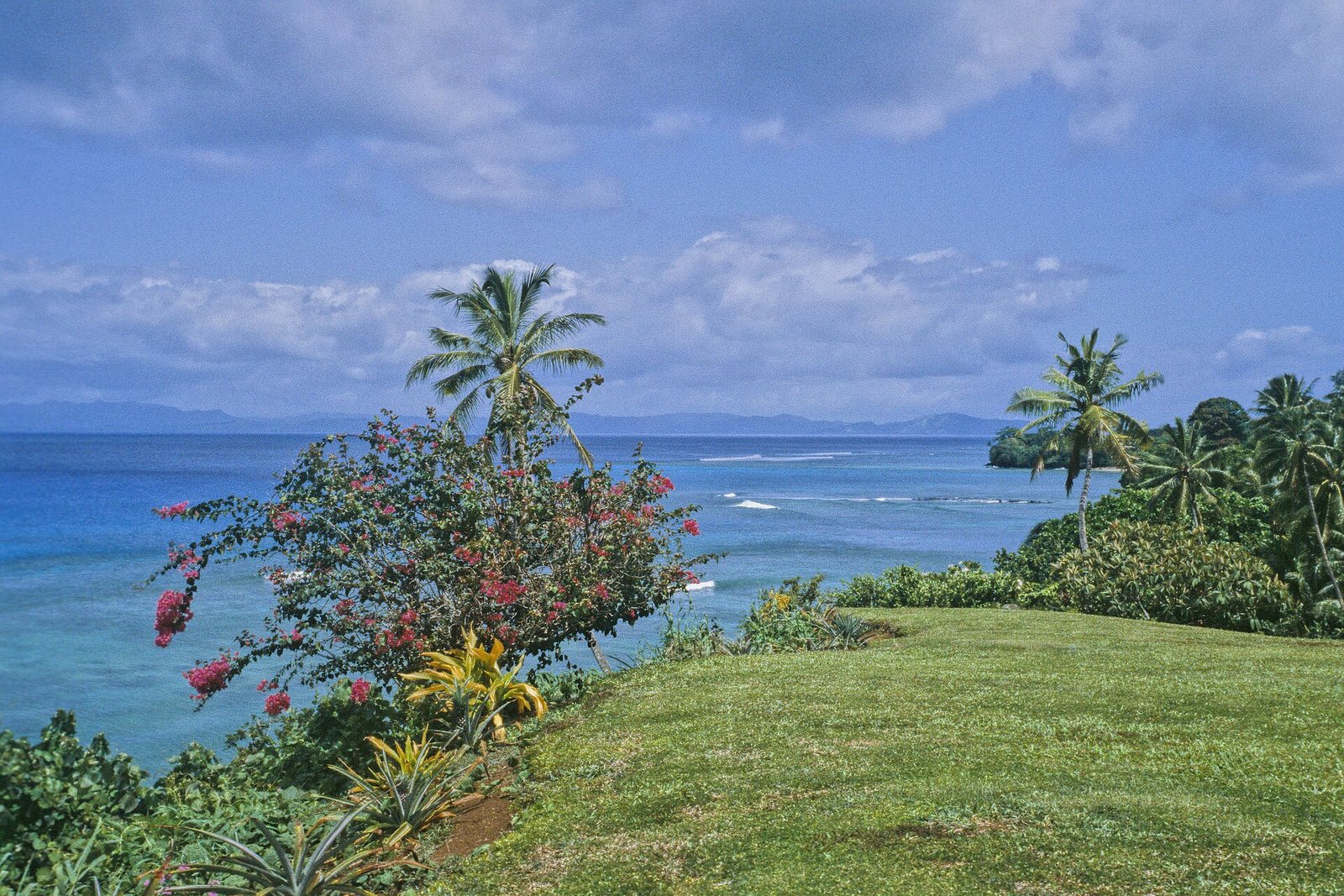 From a clifftop lawn, bougainvillea and palms frame a turquoise reef flat with surf lines, forested land at right and distant hills on the horizon, under cumulus