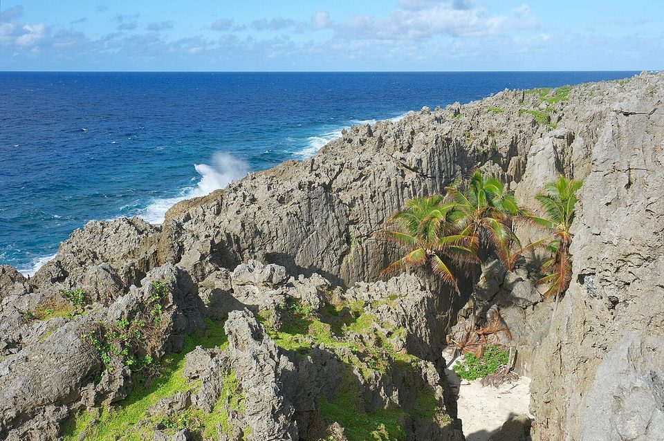 Fossil coral pinnacles above the chasm with palms in the gap and the sea beyond