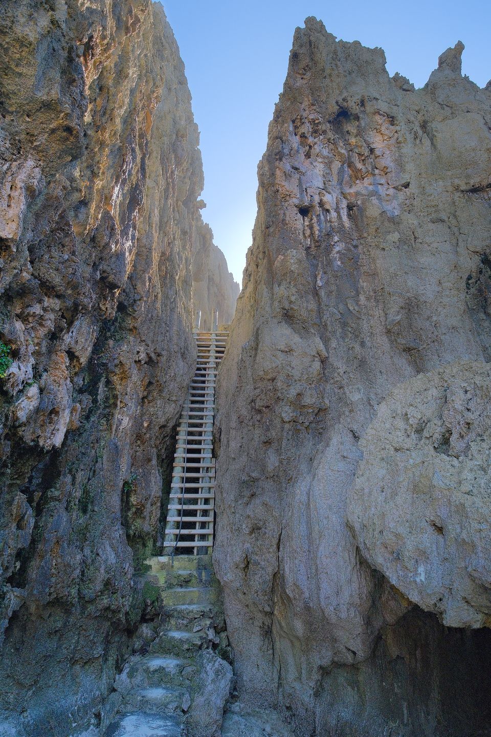 A wooden ladder climbs a narrow slot between towering walls of weathered grey-gold coral rock, worn steps at its foot and a strip of blue sky above