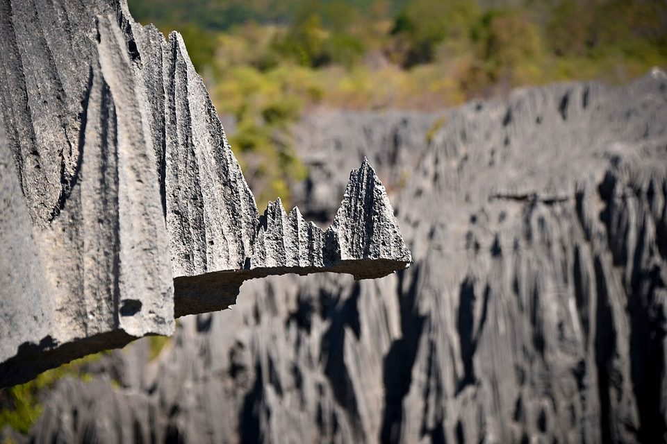 A close view of one serrated limestone blade in sharp focus with soft pinnacles behind