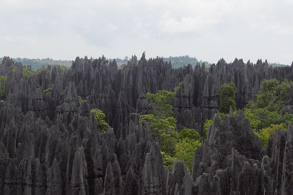 Limestone pinnacles and forest under a flat grey sky