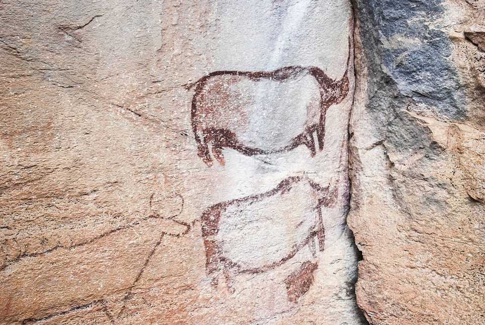 Two rhinoceros outlines painted in red ochre one above the other on a pale rock face