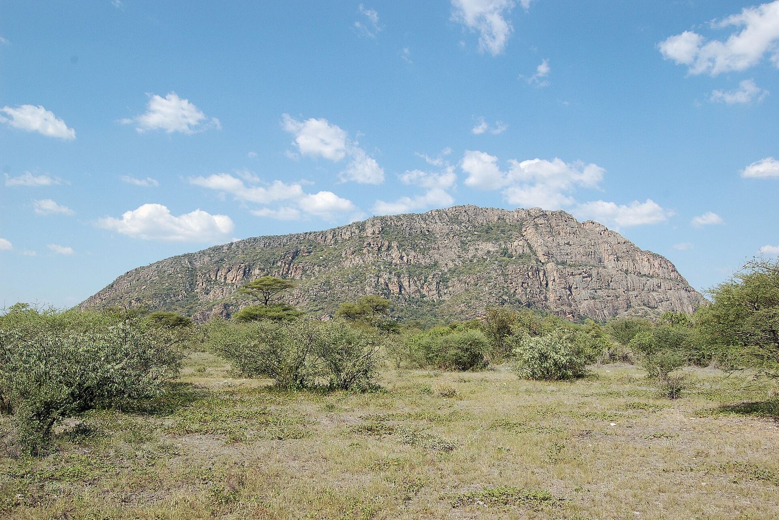 A long granite hill with cliff bands rising out of green bush under a blue sky with small clouds