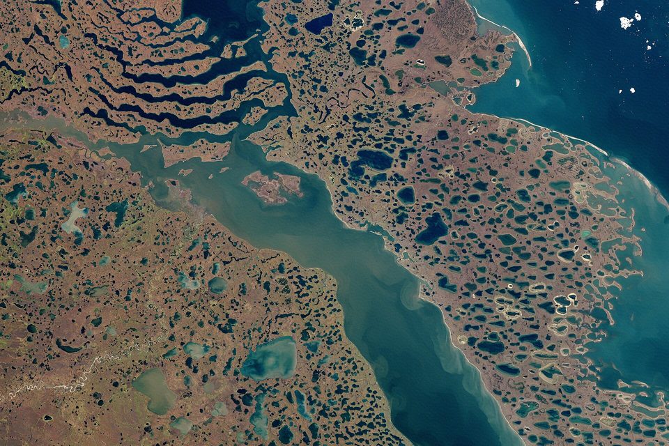 A satellite image of tundra covered in thaw lakes beside a dark sea, with the land running to the top right