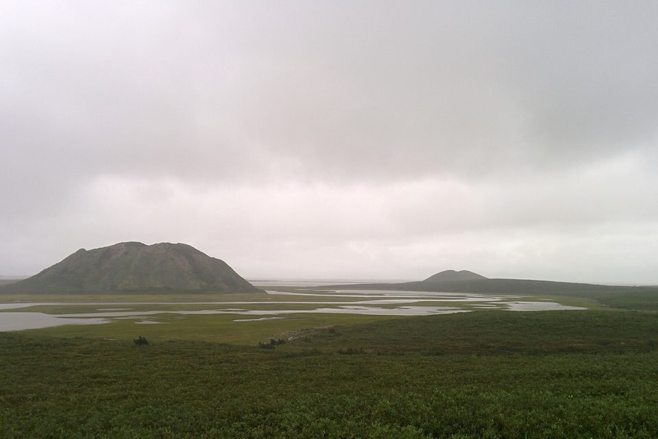Low green pingos above tundra and small lakes under a flat grey rain sky