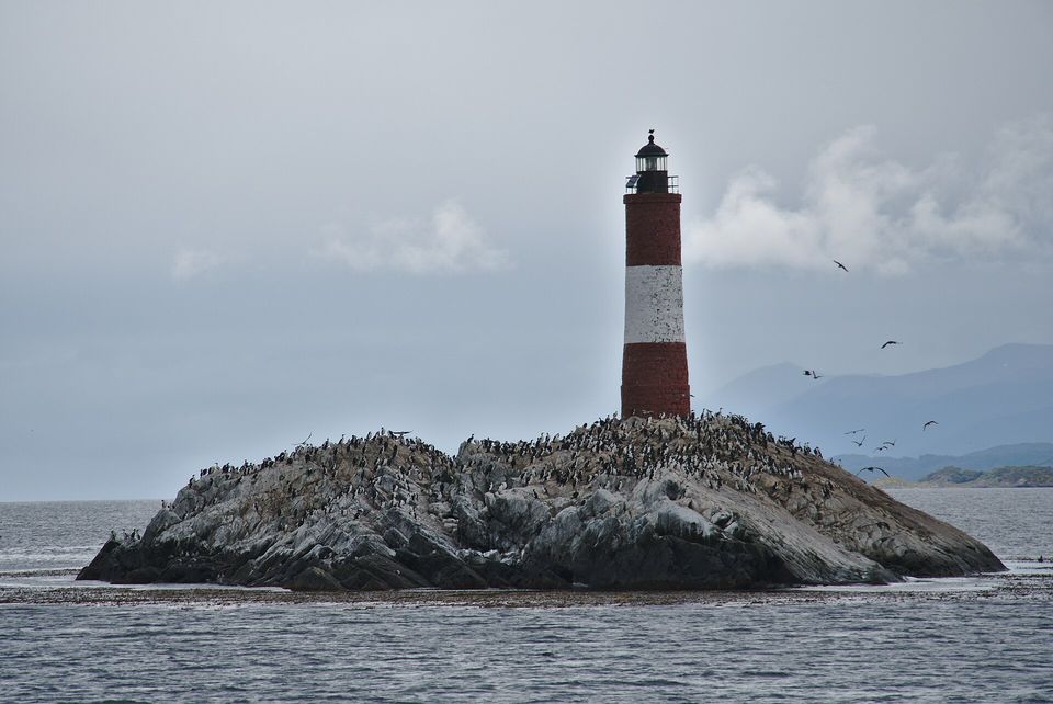 A red and white lighthouse on a grey rock covered with dark and white seabirds, more birds in the air, grey water and a hazy blue mountain line