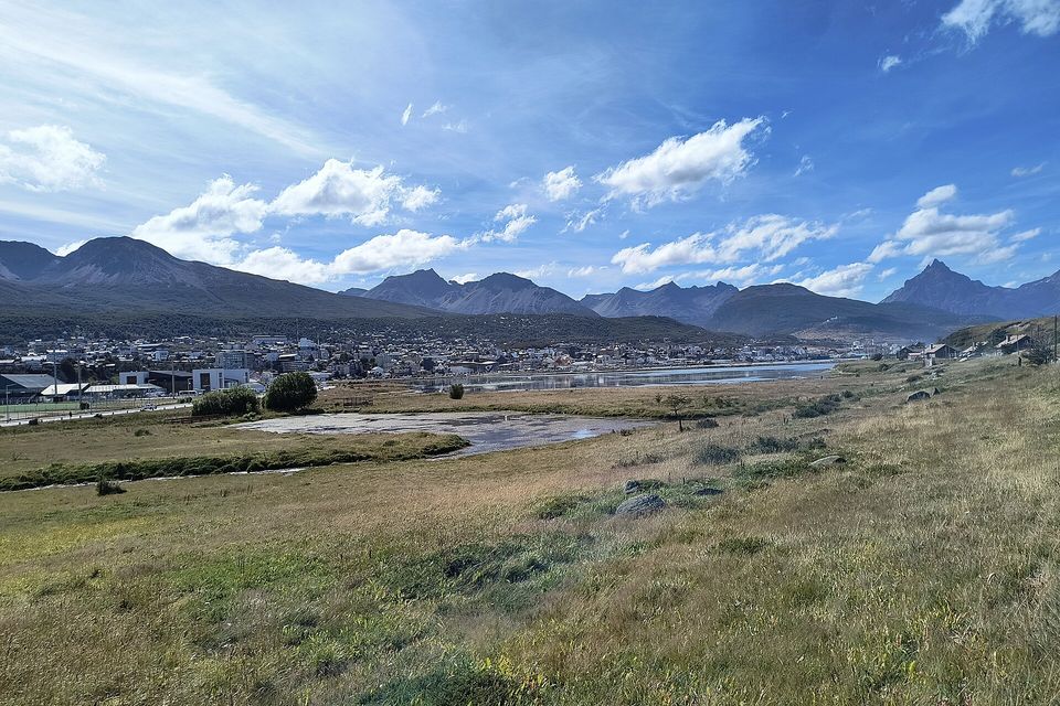 A small town spread along a shore below a jagged mountain range, tussock grass and a shallow pool in the foreground, blue sky with scattered cloud