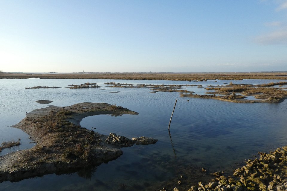 Still shallow water among low islets of grey mud and marsh grass, a wooden stake and a flat horizon under a pale blue sky