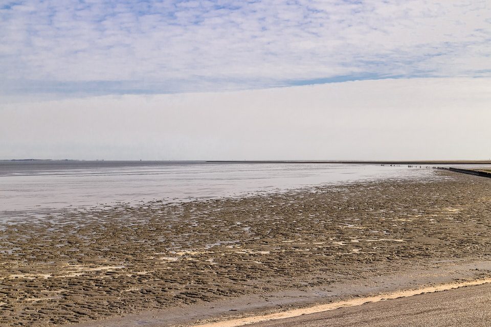 Low water in the Wadden Sea seen from a dike, wet sand and shallow channels stretching to a flat horizon