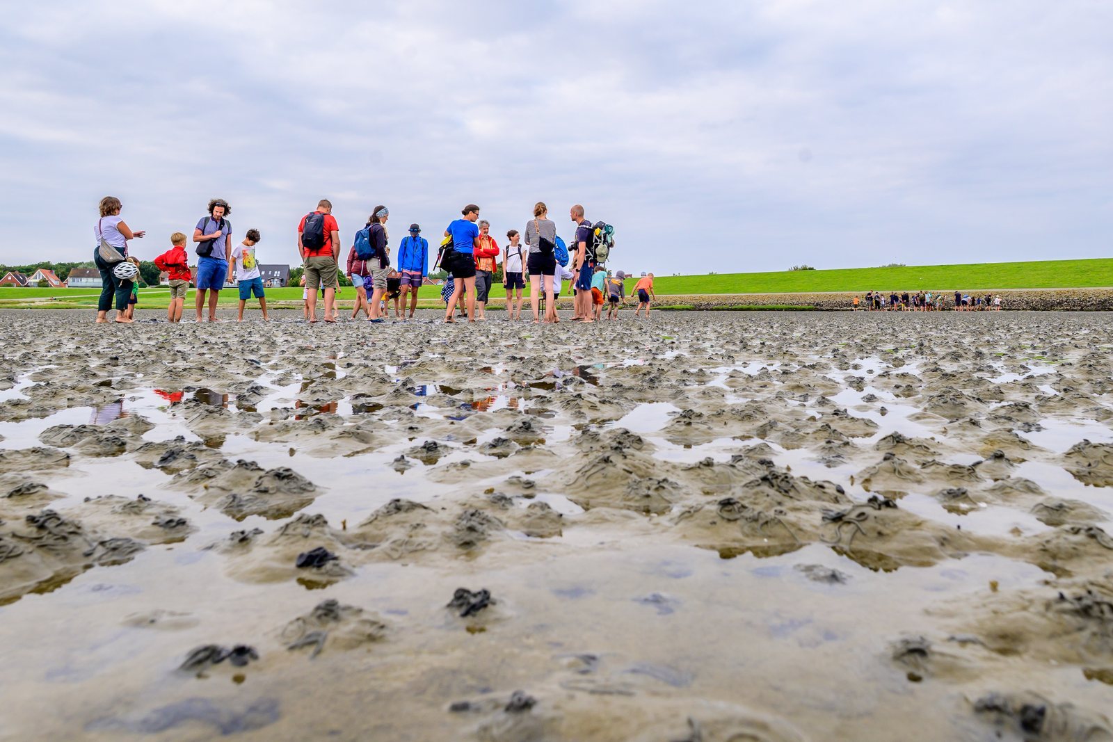 A group of walkers standing together on the exposed sea floor at low tide, boots in wet sand and shallow pools, a low green dyke behind them