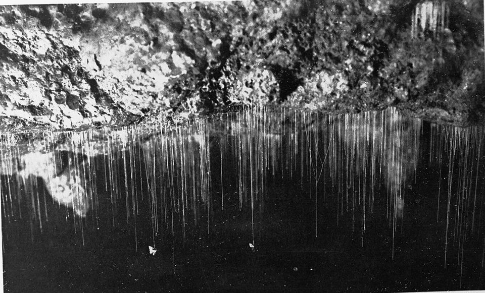 A black-and-white photograph of a rock ceiling with hundreds of fine beaded threads hanging down into darkness, two trapped moths near the bottom