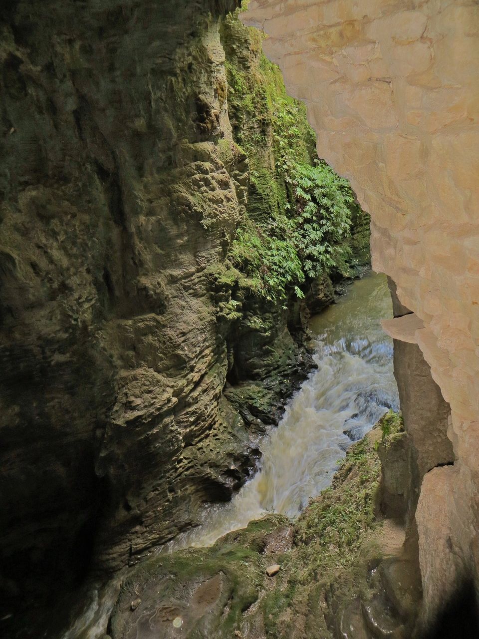 A brown stream rushes through a narrow, mossy limestone gorge, ferns spilling down the rock wall