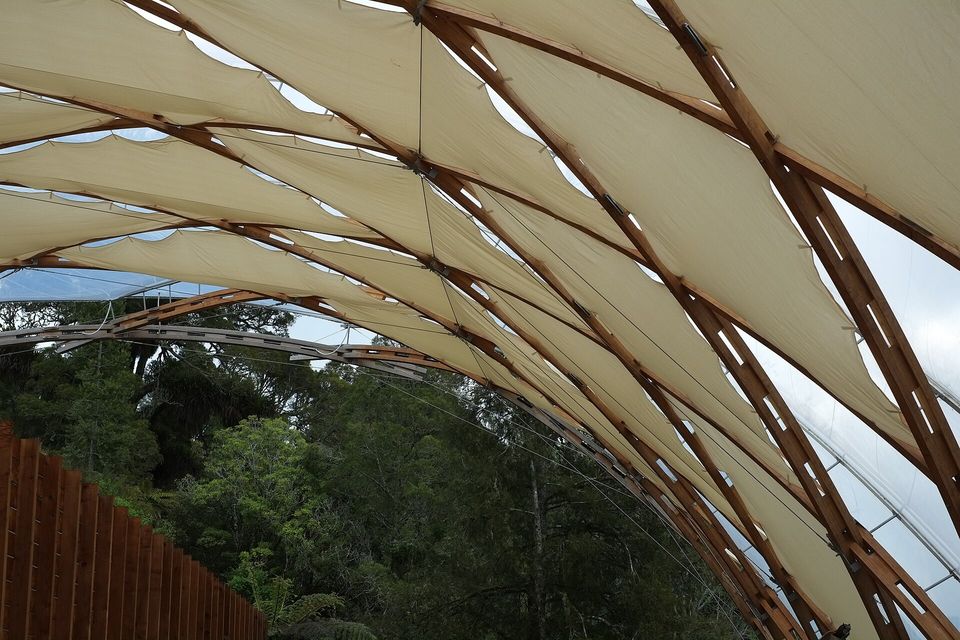 Curved laminated timber ribs and pale fabric panels arch overhead, native bush beyond