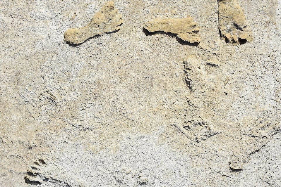 Pale, foot-shaped impressions and raised casts of human feet, toes visible, scattered across a crusty gypsum surface