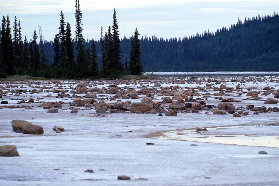 Rounded boulders scattered on a pale salt flat below black spruce in evening light