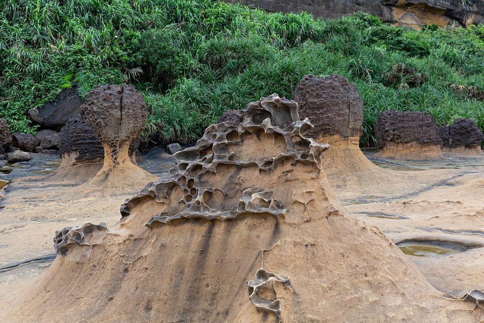 A sandstone cone laced with a delicate honeycomb of eroded ridges in the foreground, rounded mushroom rocks and green coastal scrub behind