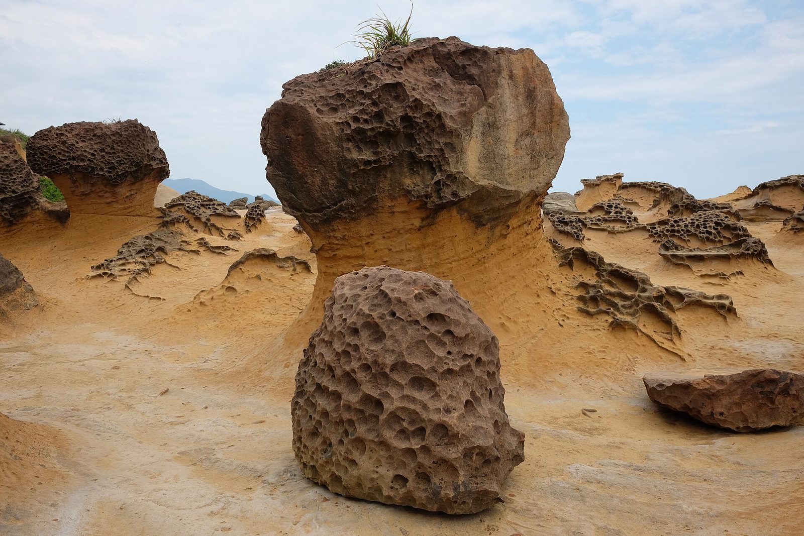 A field of mushroom rocks: dark, honeycombed caps on pale ochre sandstone necks, rising from a flat wave-cut platform with the sea behind under a soft grey sky