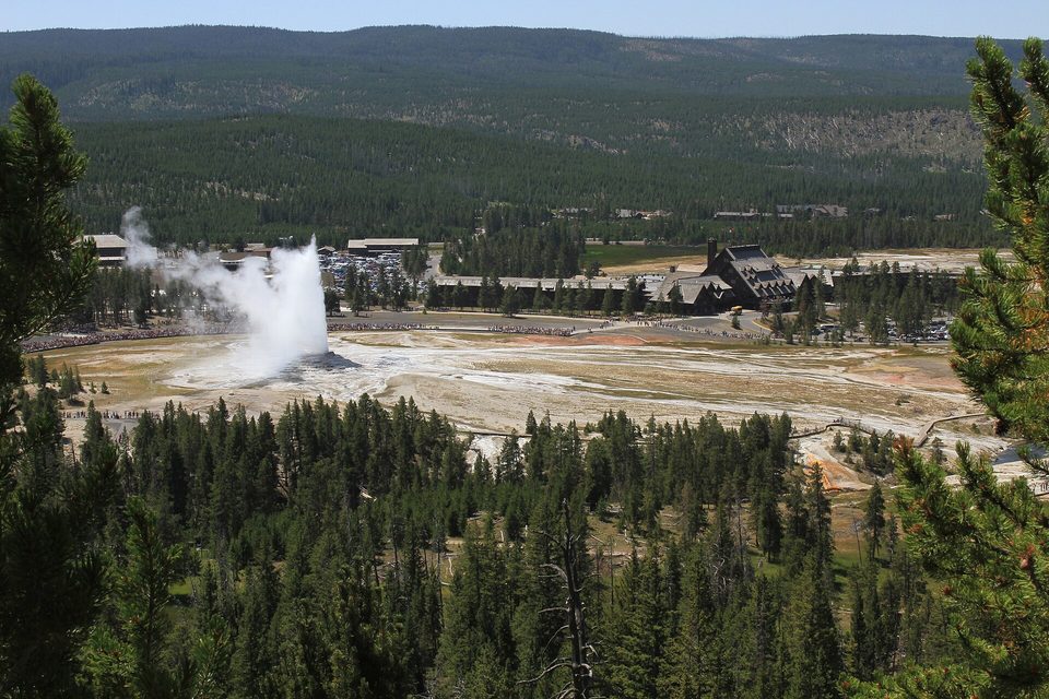 A column of steam and water rising from a geyser in a basin of pale ground with forest and a large log lodge in the background