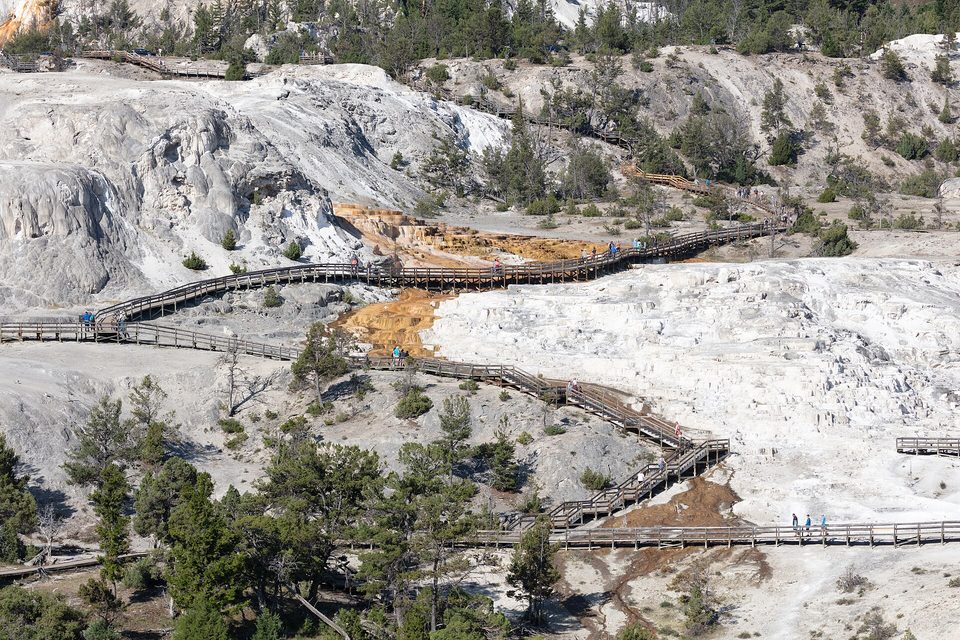 Cascading white and cream mineral terraces on a hillside with a boardwalk and steam above