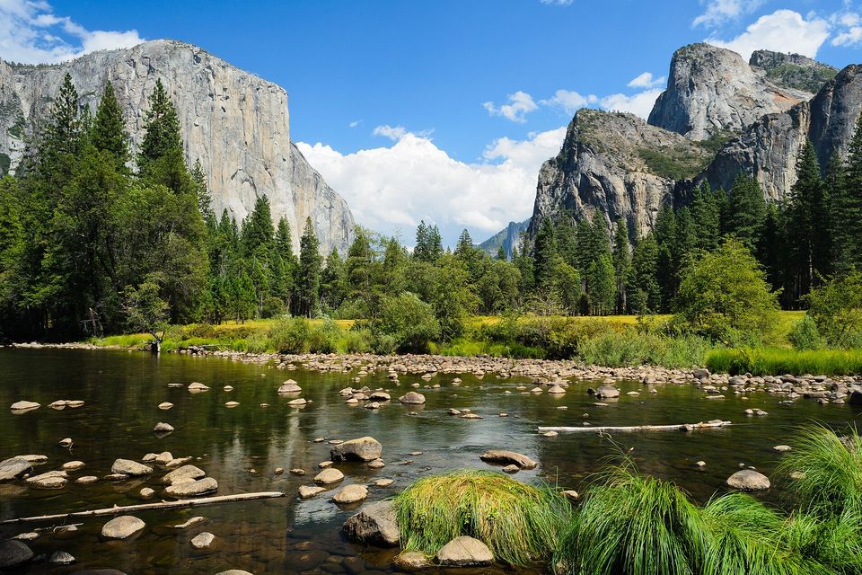 A shallow river strewn with boulders and grass tufts in the foreground, dark pines beyond, a tall pale granite cliff at the left and a rock buttress at the right under blue sky and white cloud