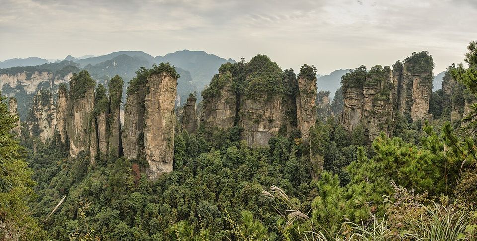 Tall sandstone pillars capped with trees standing above a green forested ravine under soft grey sky