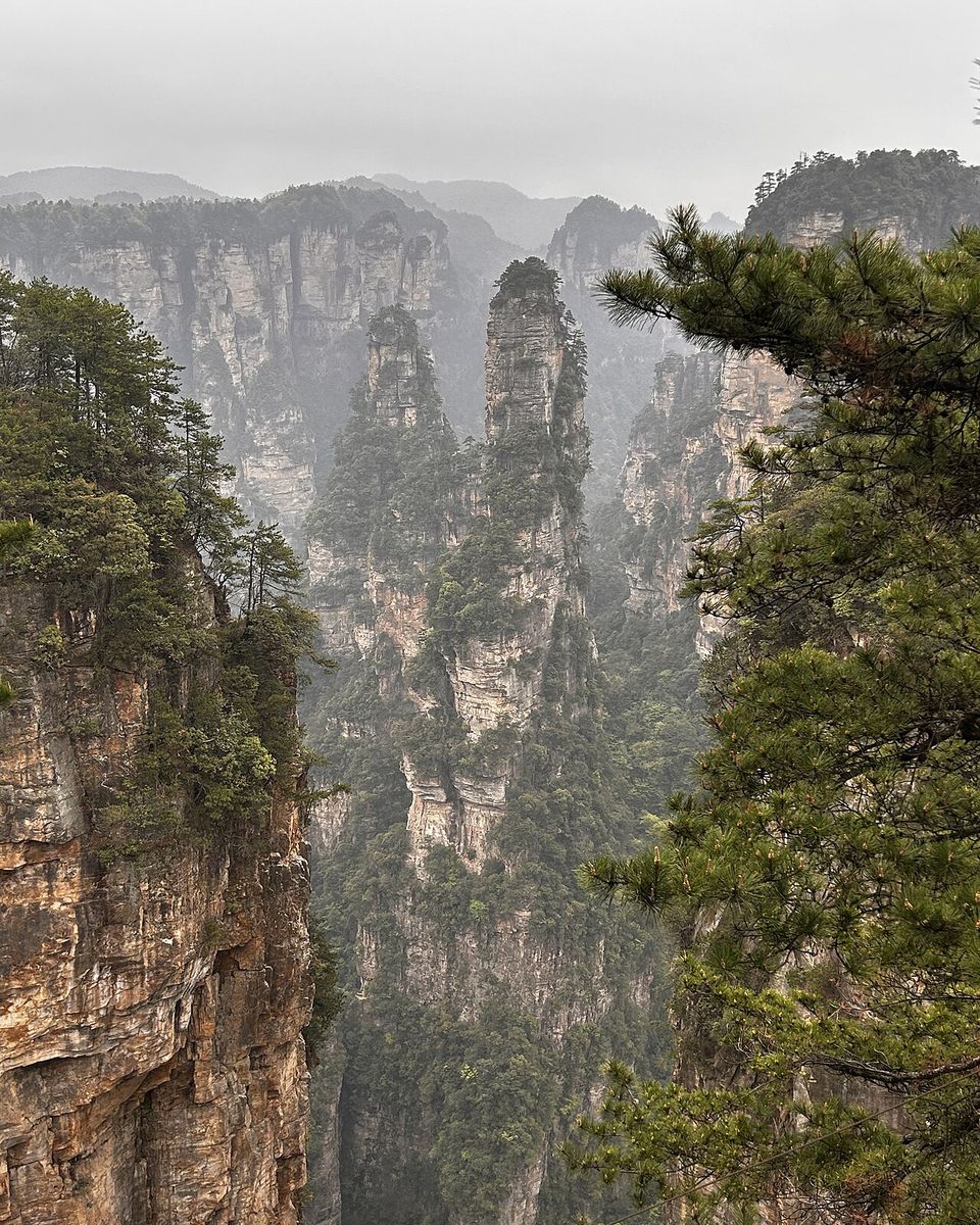 One slender stone column with pines on top, deep in a misty gorge between cliffs