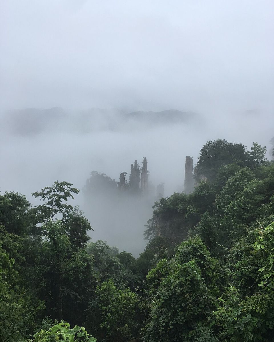 Dark spires floating in a white sea of fog beyond green forest