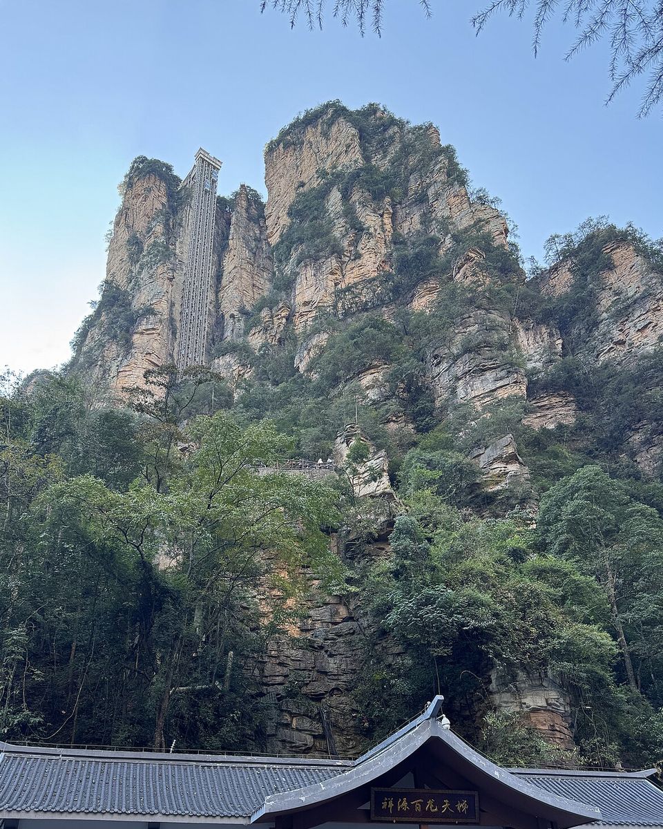 A tall lift shaft bolted to a sandstone cliff above a tiled station roof and trees